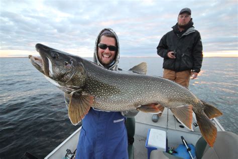 Stunning Lake Trout Success in Canada